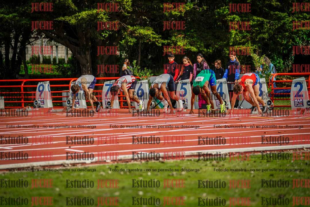 Fotos de los 110 m con vallas de varones