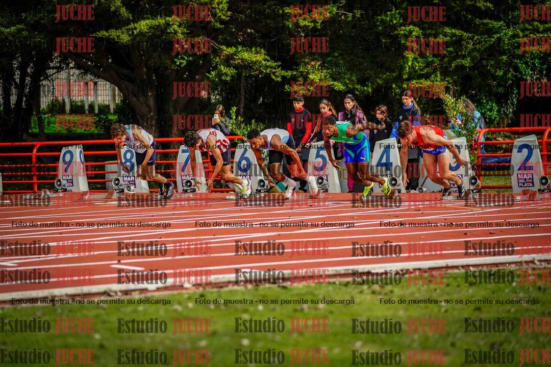 Fotos de los 110 m con vallas de varones