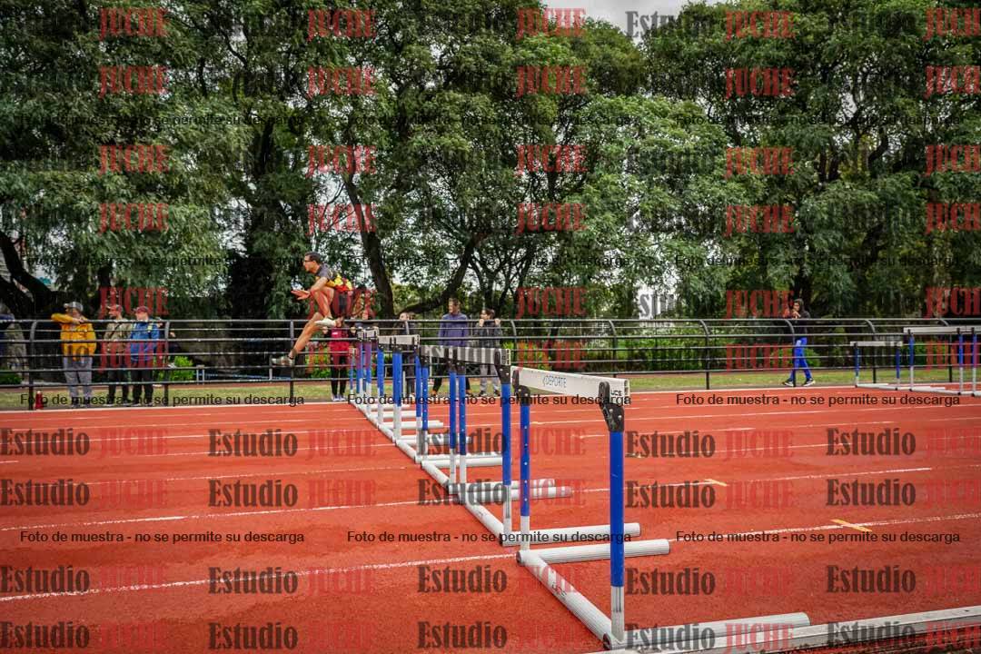 Fotos de los 110 m con vallas de varones
