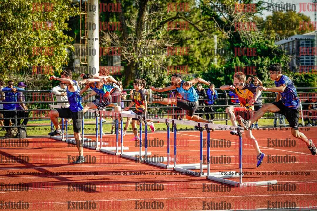 Fotos de los 110 m con vallas de varones