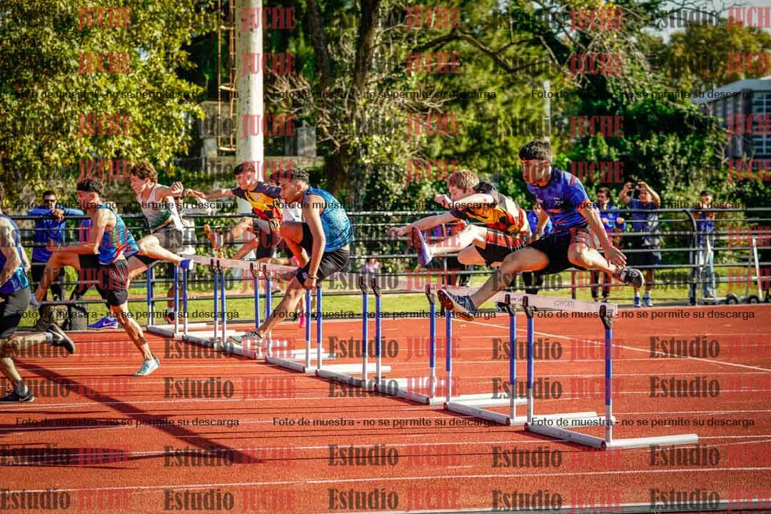 Fotos de los 110 m con vallas de varones