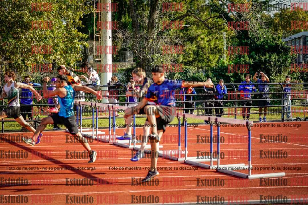Fotos de los 110 m con vallas de varones