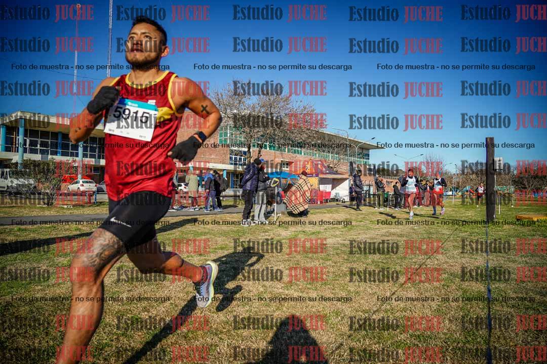 Fotos en el circuito