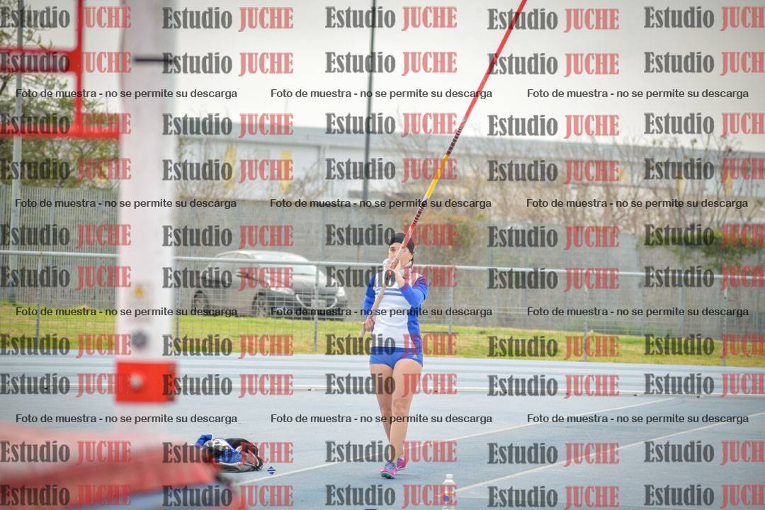 Fotos del salto con garrocha de mujeres y varones