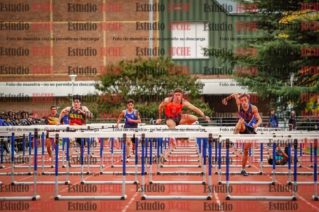 Fotos de los 110 m con vallas de varones