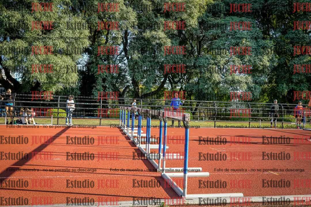 Fotos de los 110 m con vallas de varones
