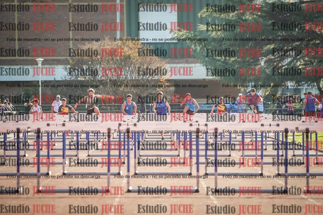 Fotos de los 110 m con vallas de varones