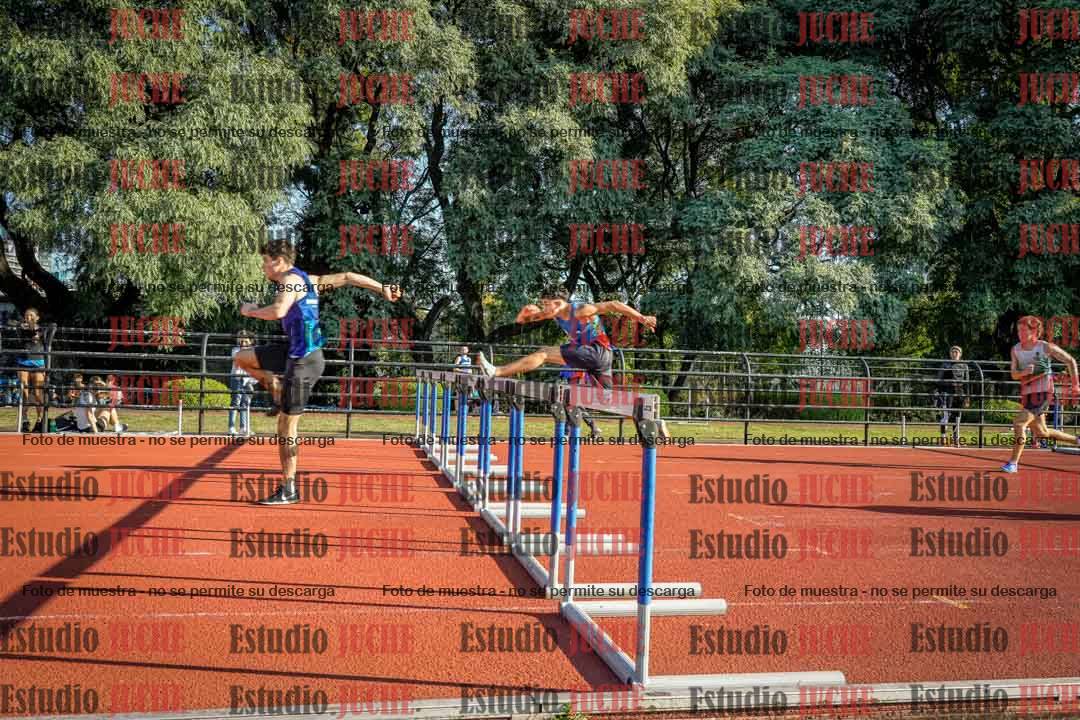 Fotos de los 110 m con vallas de varones