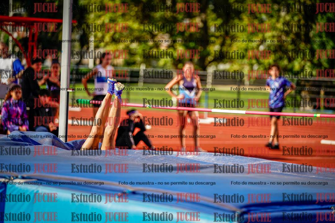 Fotos del salto en alto de mujeres y varones