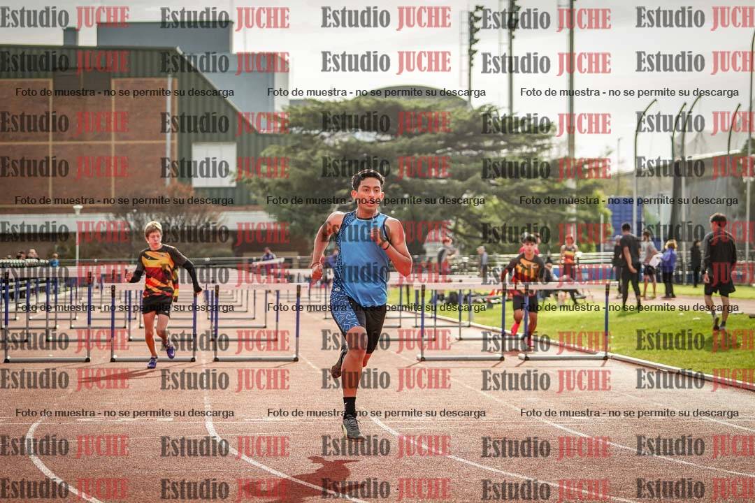 Fotos de los 110 m con vallas de varones