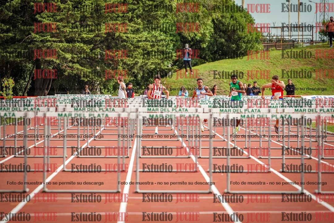 Fotos de los 110 m con vallas de varones