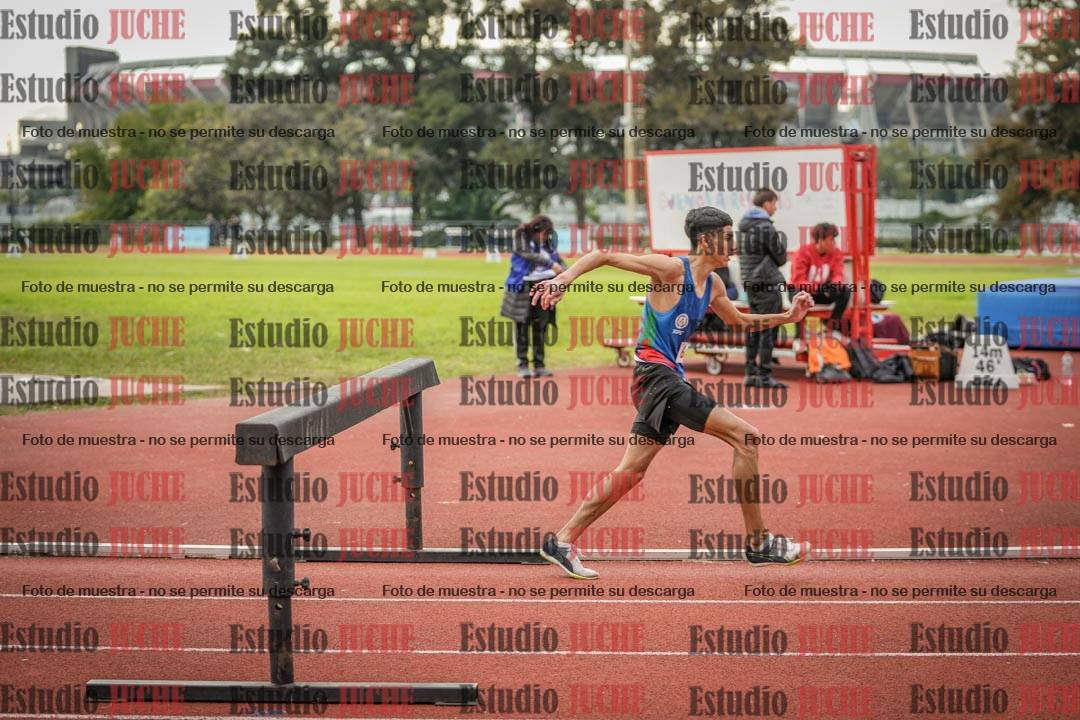 Fotos de los 3000 m con obstáculos de varones