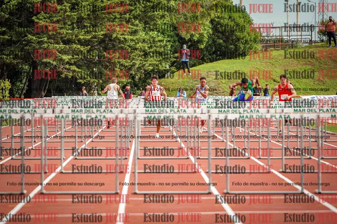 Fotos de los 110 m con vallas de varones