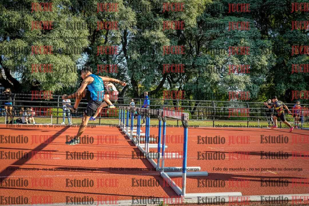 Fotos de los 110 m con vallas de varones