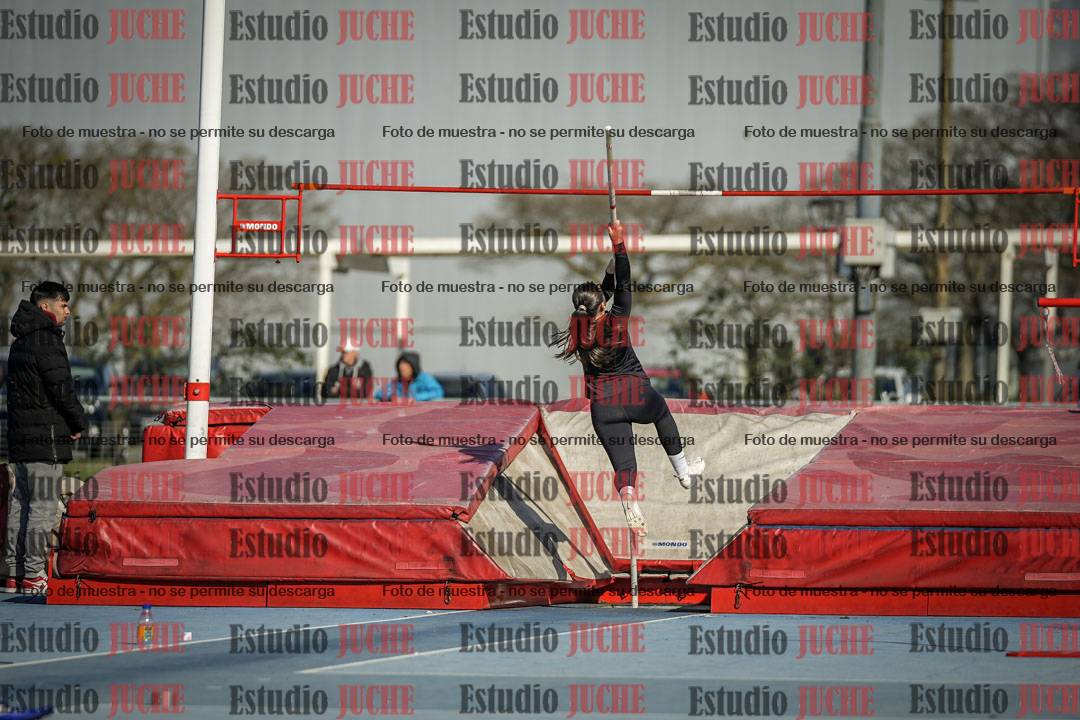 Fotos del salto con garrocha de mujeres y varones