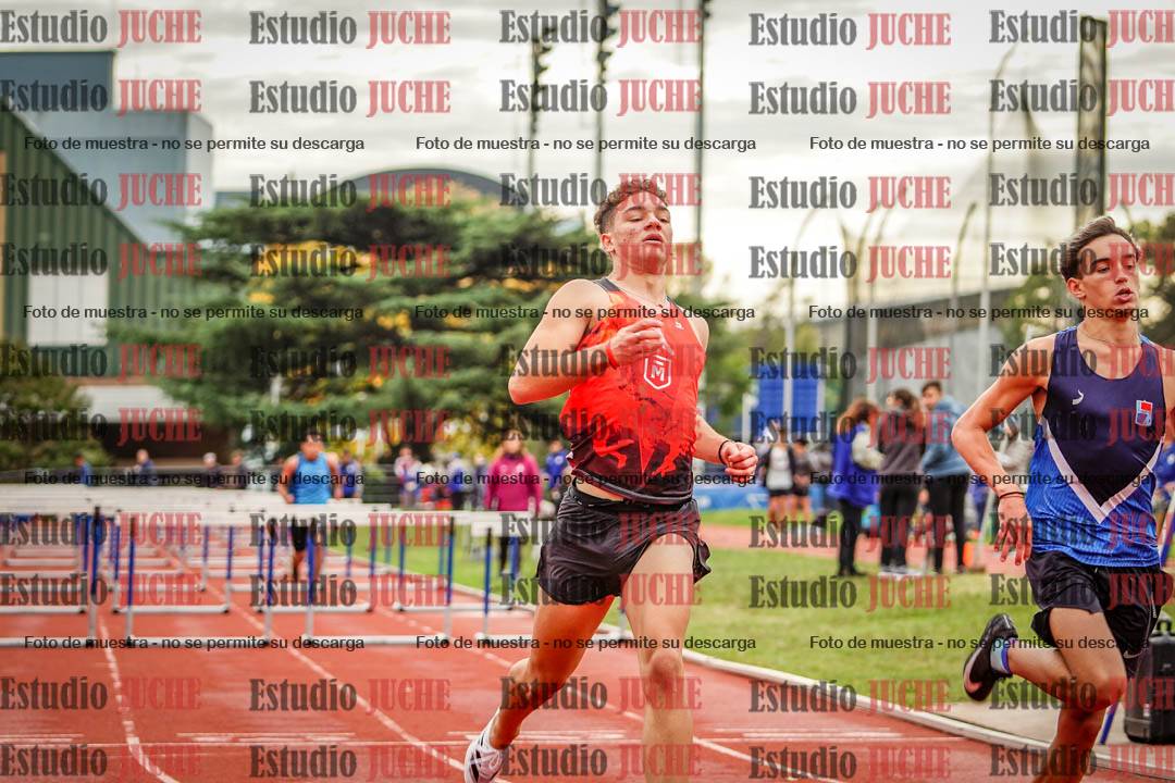 Fotos de los 110 m con vallas de varones