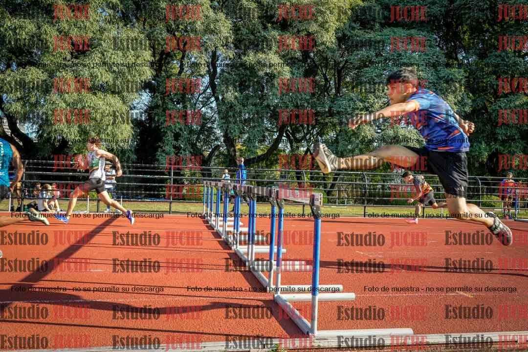 Fotos de los 110 m con vallas de varones