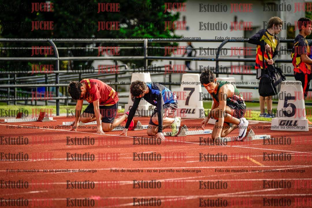 Fotos de los 110 m con vallas de varones