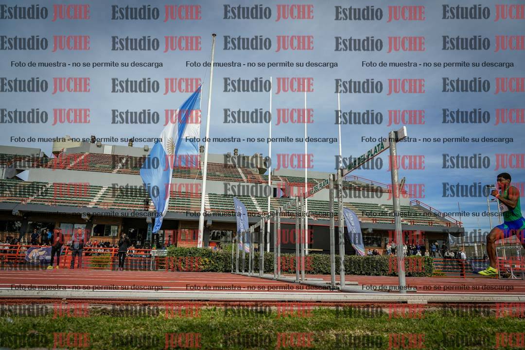 Fotos de los 110 m con vallas de varones