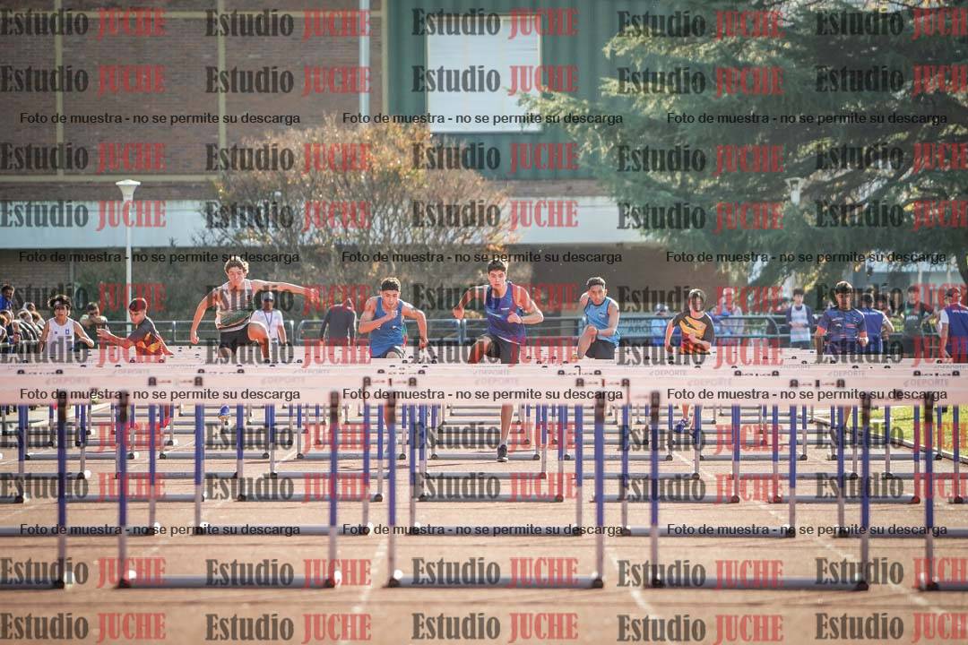 Fotos de los 110 m con vallas de varones