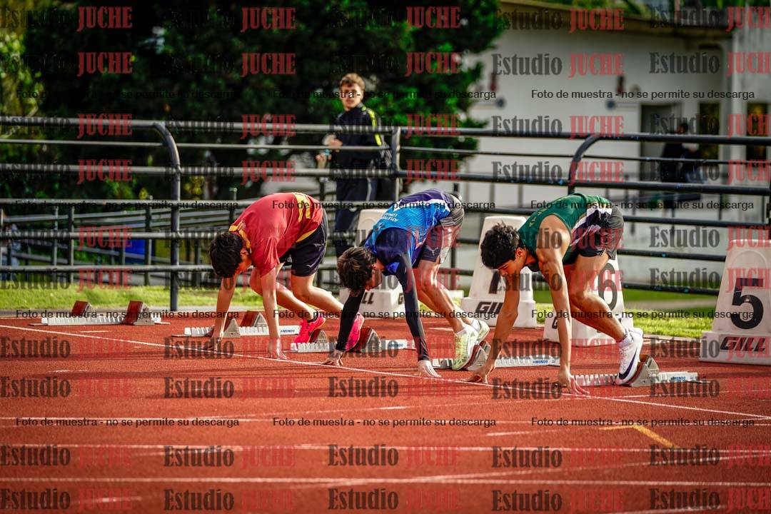 Fotos de los 110 m con vallas de varones