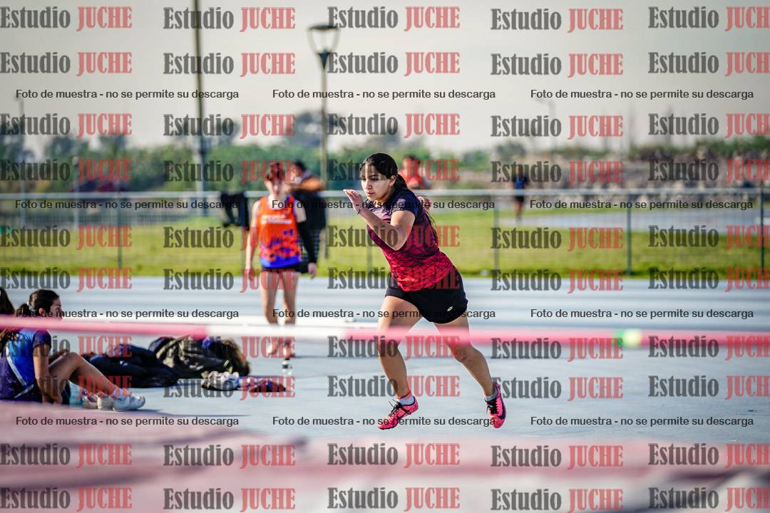 Fotos del salto en alto de mujeres - heptatlón 2
