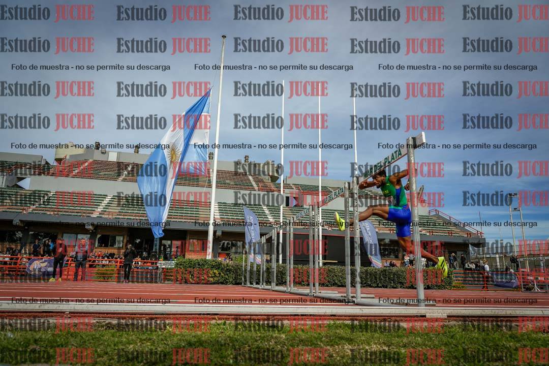 Fotos de los 110 m con vallas de varones