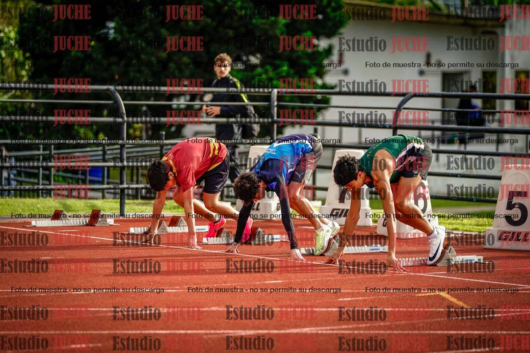 Fotos de los 110 m con vallas de varones