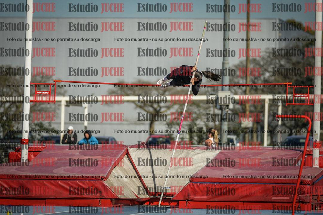 Fotos del salto con garrocha de mujeres y varones
