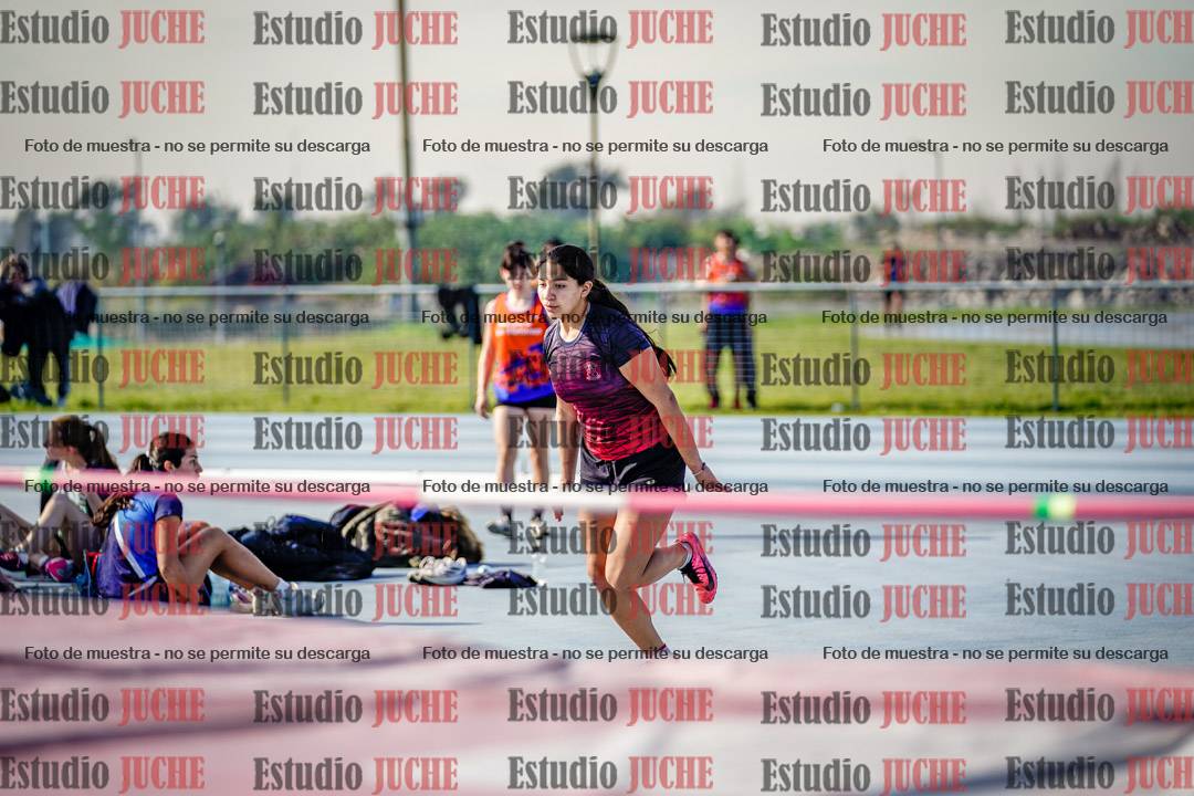 Fotos del salto en alto de mujeres - heptatlón 2