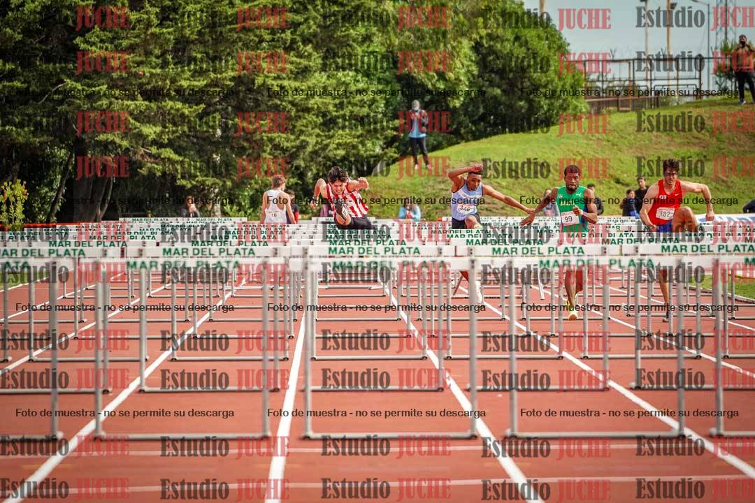 Fotos de los 110 m con vallas de varones