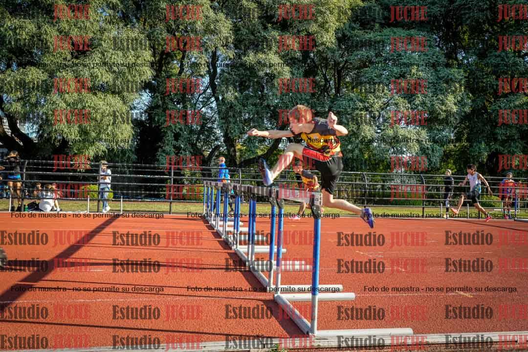 Fotos de los 110 m con vallas de varones