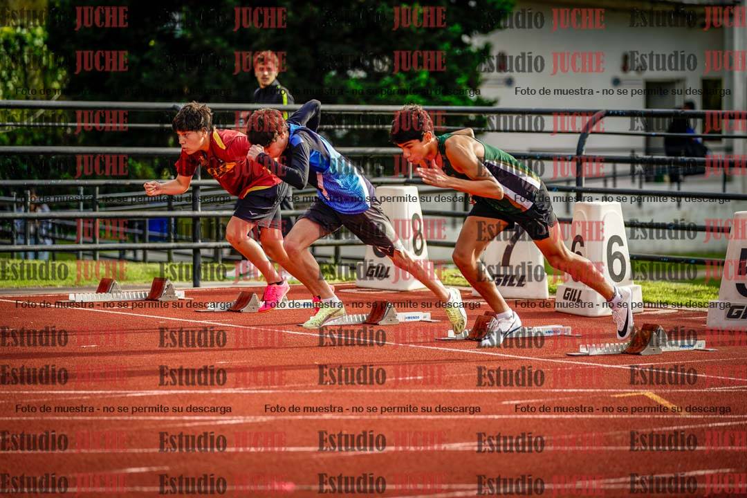 Fotos de los 110 m con vallas de varones