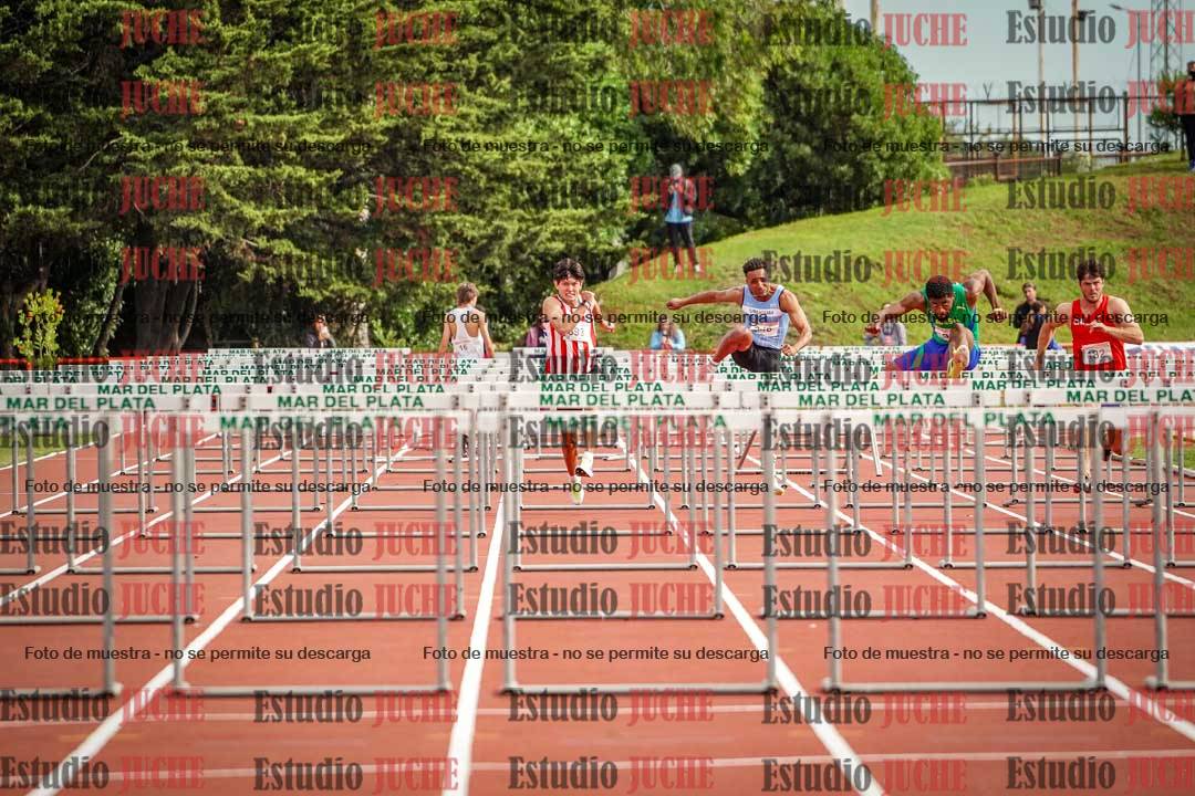 Fotos de los 110 m con vallas de varones