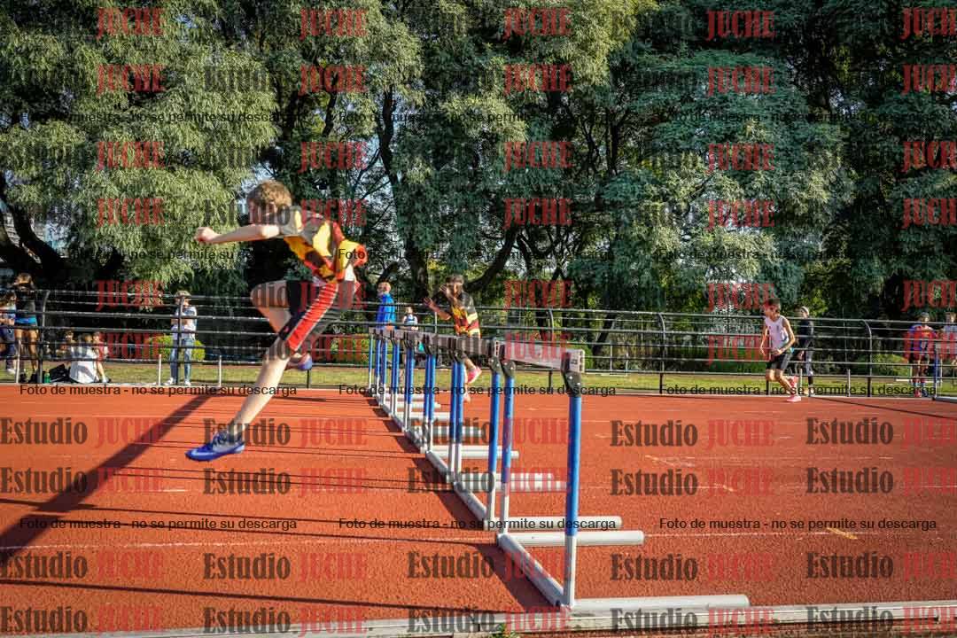 Fotos de los 110 m con vallas de varones