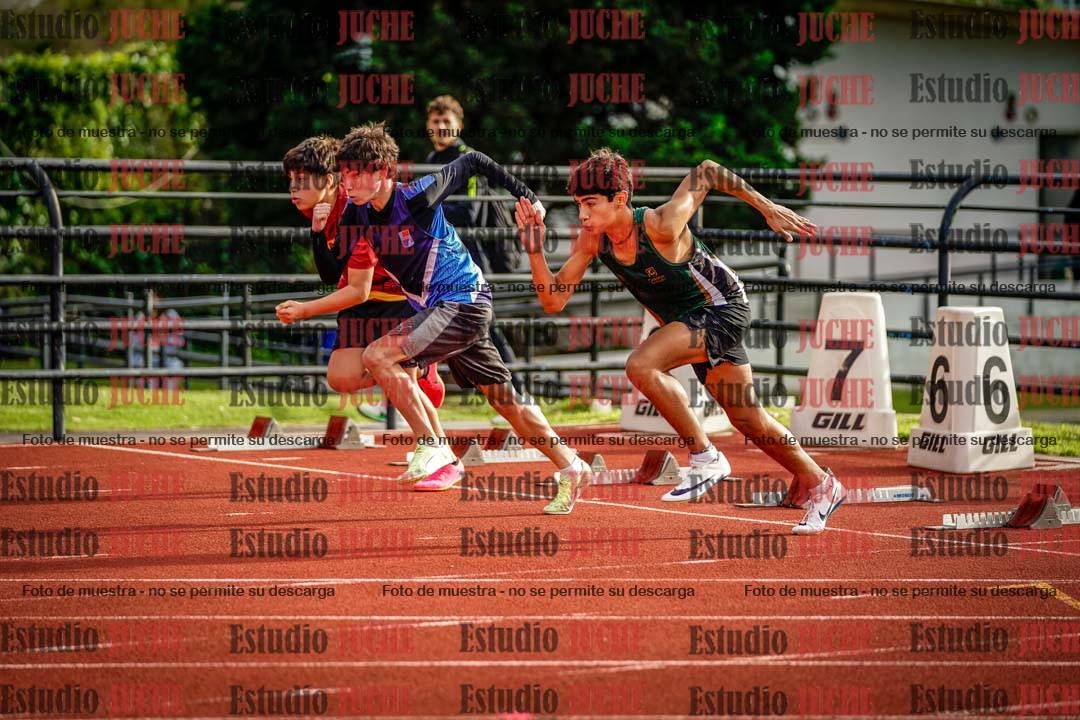 Fotos de los 110 m con vallas de varones