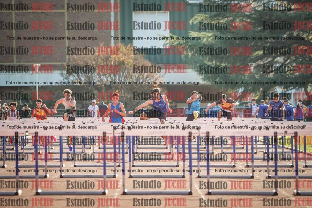 Fotos de los 110 m con vallas de varones
