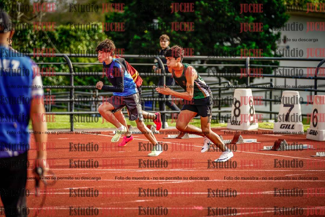 Fotos de los 110 m con vallas de varones