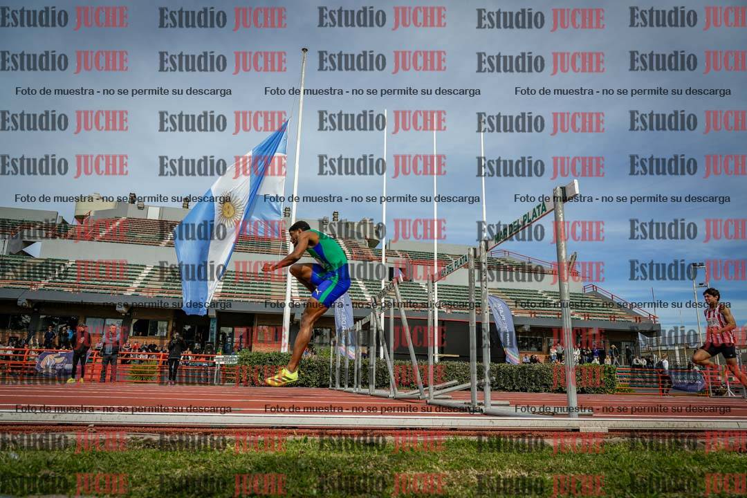 Fotos de los 110 m con vallas de varones