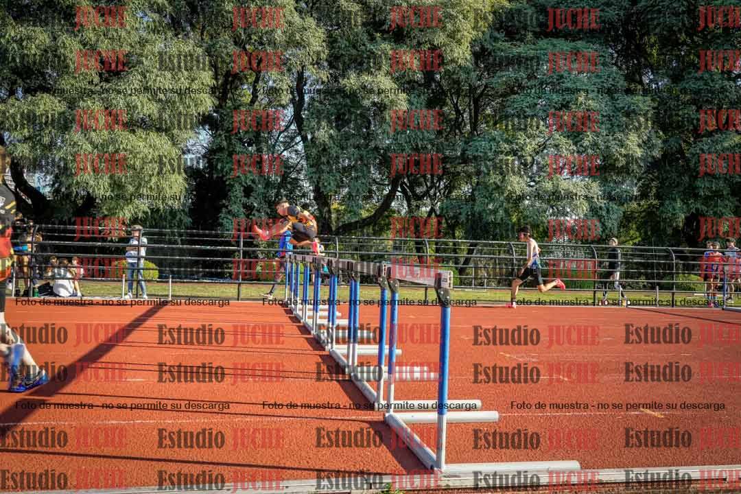 Fotos de los 110 m con vallas de varones