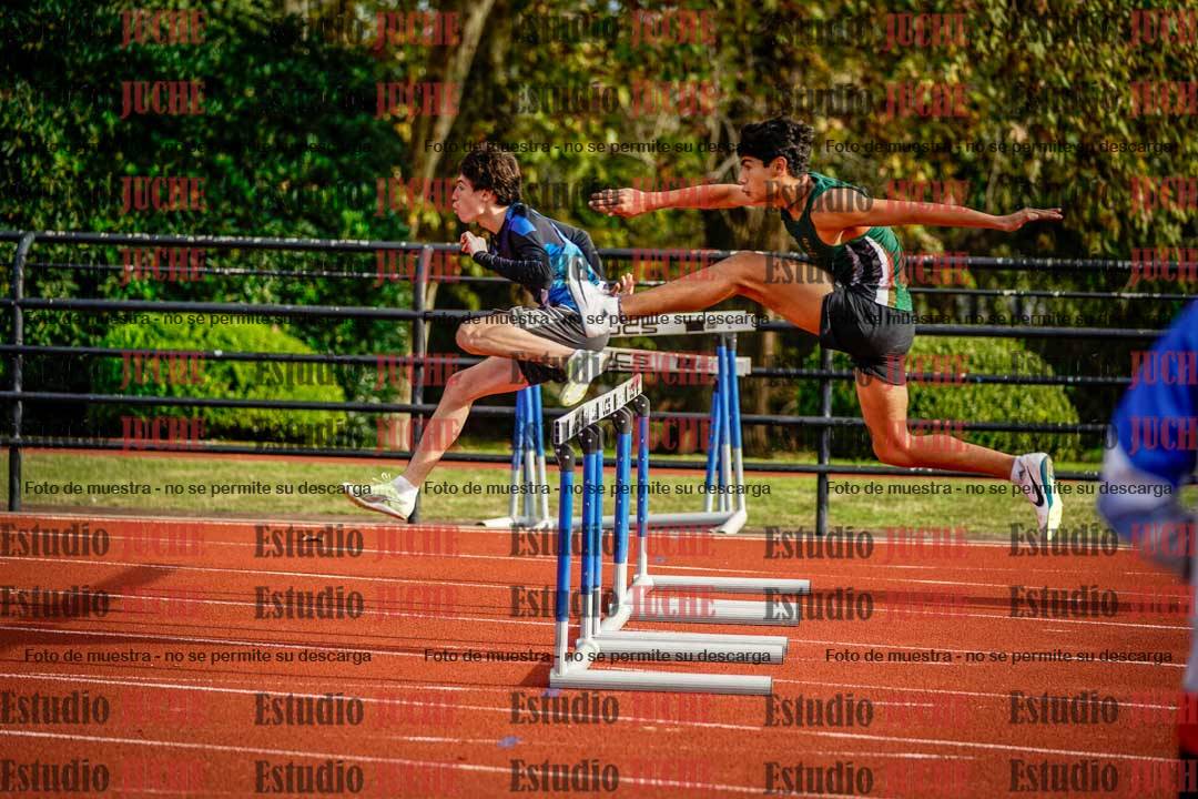 Fotos de los 110 m con vallas de varones