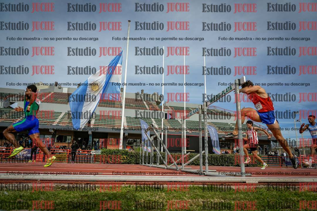 Fotos de los 110 m con vallas de varones