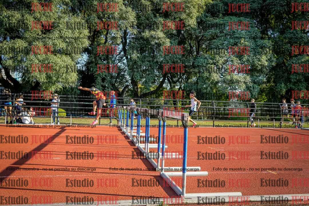 Fotos de los 110 m con vallas de varones