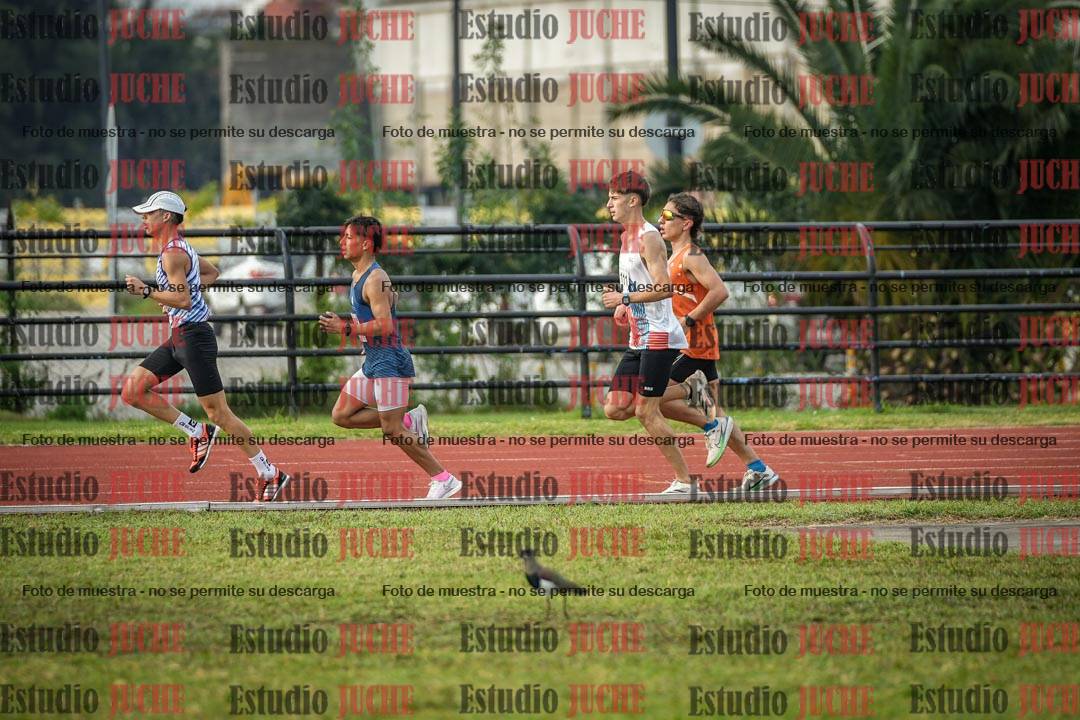 Fotos de los 10.000 m llanos de varones