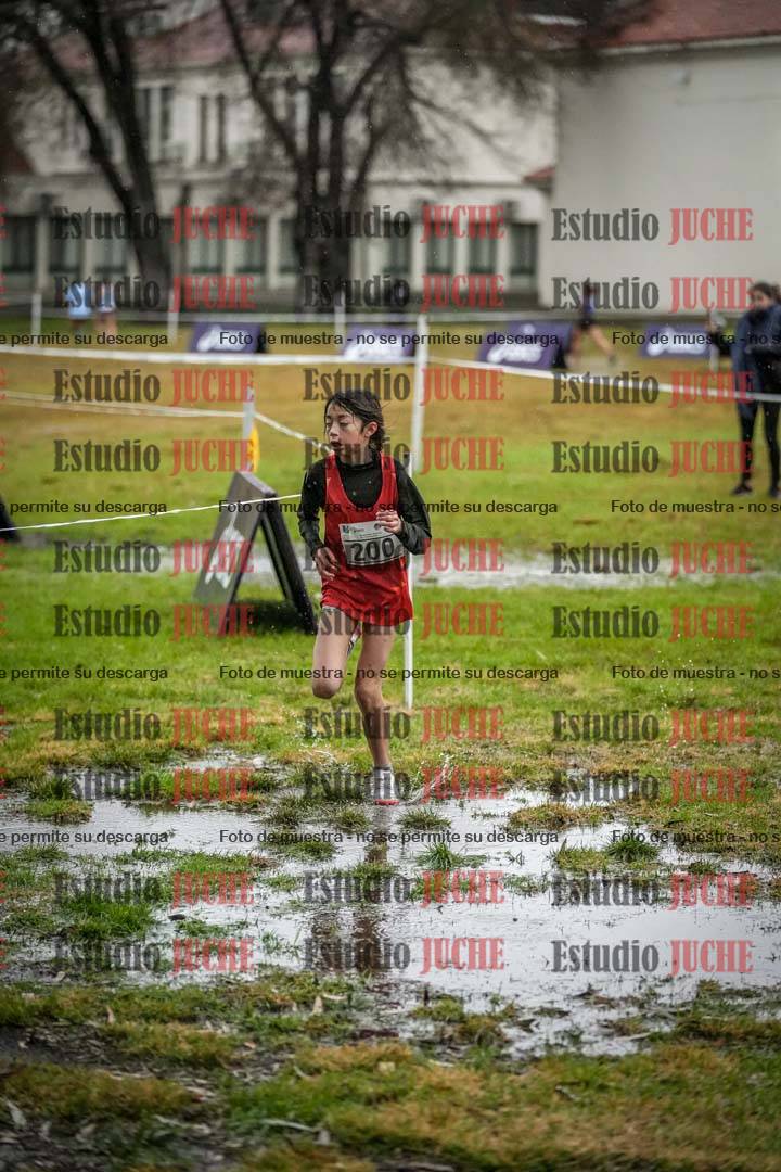 Fotos en el circuito