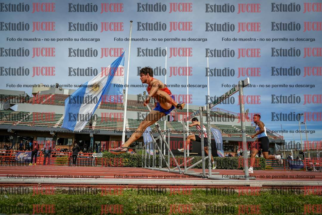 Fotos de los 110 m con vallas de varones