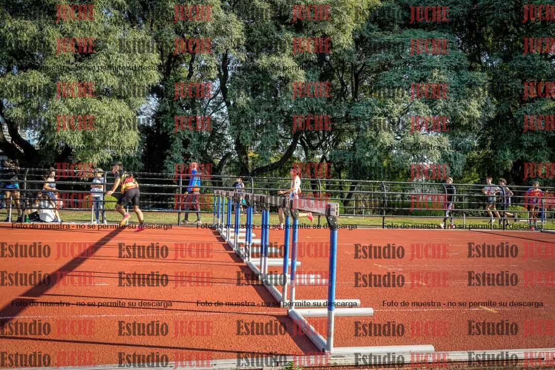Fotos de los 110 m con vallas de varones
