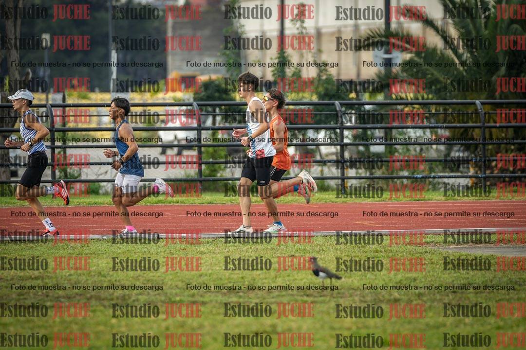 Fotos de los 10.000 m llanos de varones
