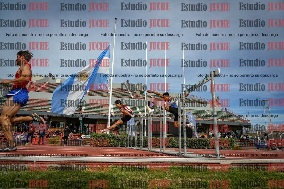 Fotos de los 110 m con vallas de varones