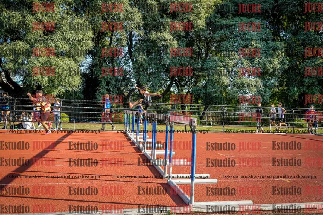 Fotos de los 110 m con vallas de varones